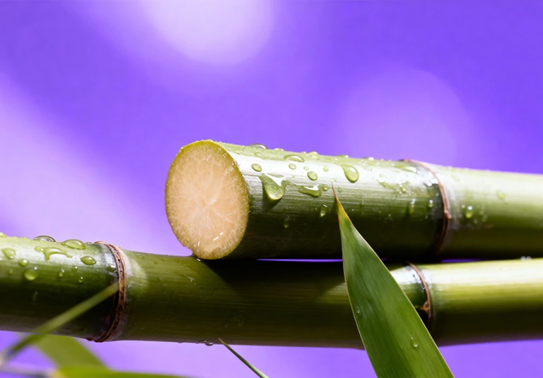 Bamboo extract